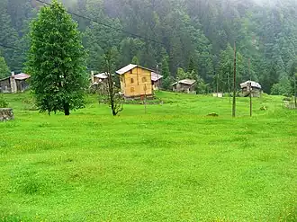 Image 21Rize