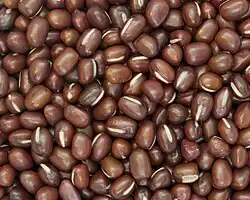 Pile of beans