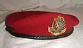 red beret (Amaranth) of marine paratroops (France).