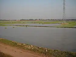 Việt Yên