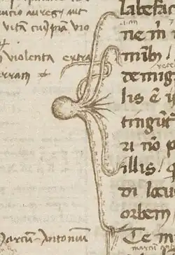 an octopus points at multiple lines with its tentacles
