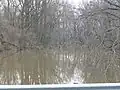 The remnant channel of the Kankakee River. Now a slack water ox bow, it once was twice as wide and the main channel of the river.