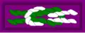 Asian American Spirit of Scouting Service Award