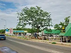 Downtown Kasane