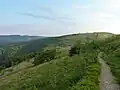 Rainkopf
