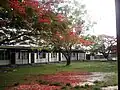 View of The back near ANG (Arima New Government Primary)