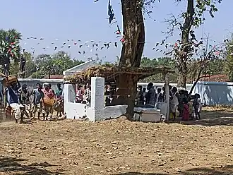 Baha Festival