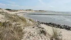 The dunes of " Baie d'Authie"