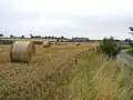 Typical agricultural scene in Laughton