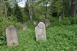 General view of the Jewish cemetery in Baligród