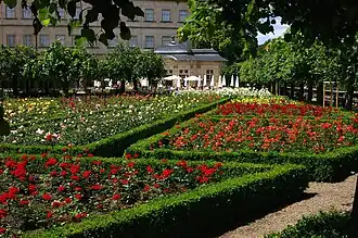 Bamberg Rose Garden, Germany
