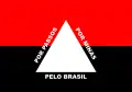 Flag of Passos