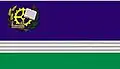 Flag of Rio Negrinho