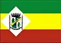 Flag of Amaral Ferrador