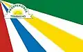 Flag of Amarante do Maranhão