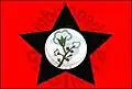 Flag of Cacimba de Areia