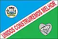 Flag of Vicentinópolis