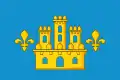 Flag of Concello de Abadín