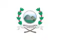 Flag of Boa Esperança