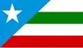 Flag of Bom Jesus das Selvas