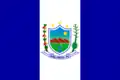 Flag of Brejinho