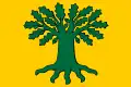 Flag of Carballo