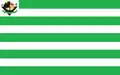 Flag of Castelândia