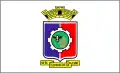 Flag of Eldorado do Sul