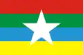 Flag of Estrela Velha
