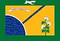 Flag of Ibimirim
