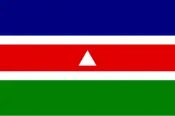 Flag of Juiz de Fora