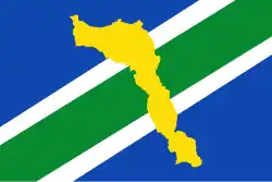 Flag of Laranjal do Jari