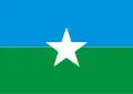 Flag of Pitimbu