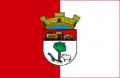 Flag of Presidente Venceslau