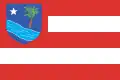 Flag of Riachão do Bacamarte