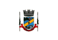 Flag of São Francisco de Paula