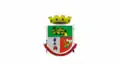 Flag of São Miguel das Missões