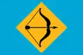 Flag of Serra da Raiz
