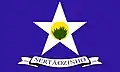 Flag of Sertãozinho, Paraíba