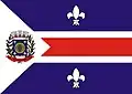 Flag of Santo Amaro