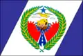 Flag of Terezópolis de Goiás
