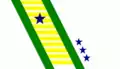 Flag of Vicentina