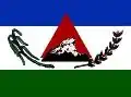 Flag of Pedralva
