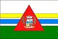 Flag of Carneirinho