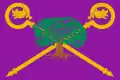 Flag of Brazacorta