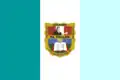 Flag of El Tallán