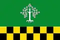 Flag of Albesa