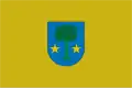 Flag of Allín