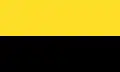 Flag of Naranjo