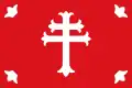 Flag of Nuévalos
